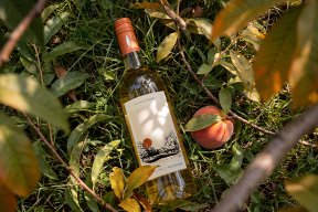 Orchard Harvest Wine