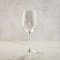 Cooper's Hawk Flight Wine Glass