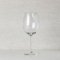 Caravaggio Balloon 21oz. Wine Glass