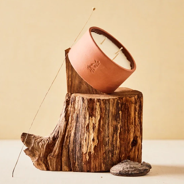 Burning of the Vines Candle