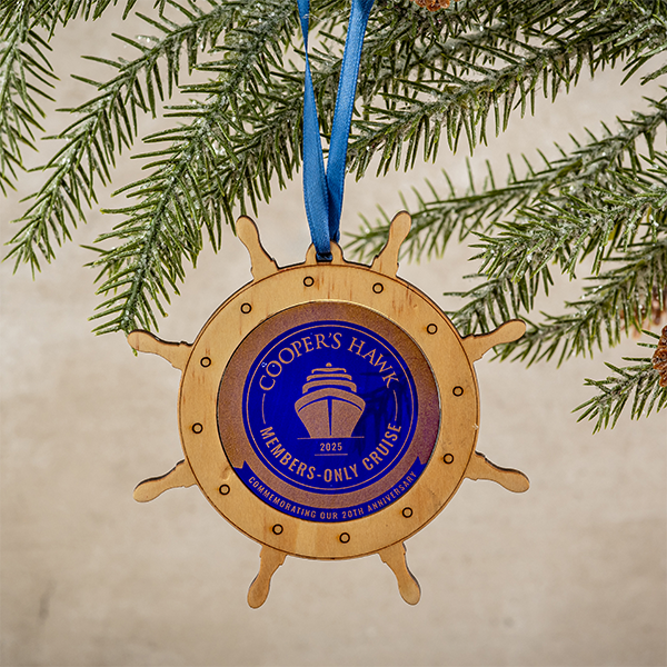 20th Anniversary Cruise Ornament