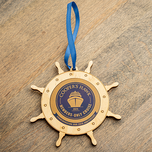 20th Anniversary Cruise Ornament