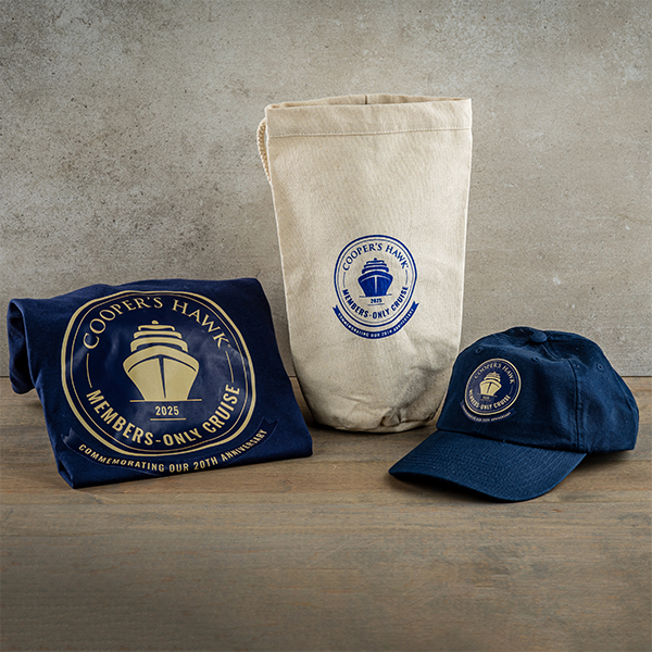 20th Anniversary Hat & Tee Combo Pack