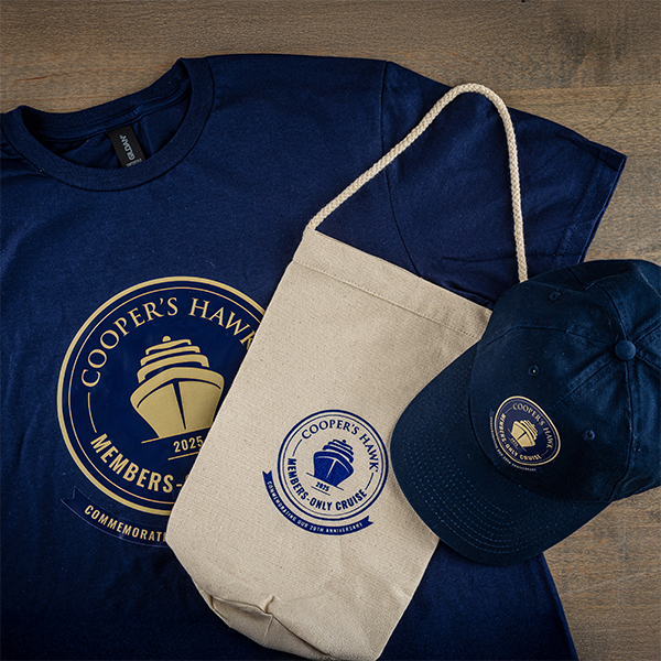 20th Anniversary Hat & Tee Combo Pack