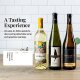 Guided: Elegant & Expressive Whites Wine Gift Set