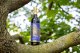Ninety Nine Oaks Wine