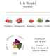 Lite+Bright Red Wine