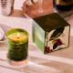Wine Under the Tree Candle